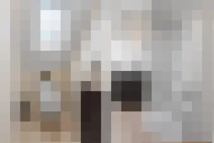 Noordhoeksestraat 4 Driel thumbnail 59