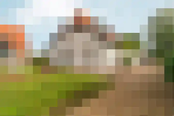 Noordhoeksestraat 4 Driel thumbnail 64