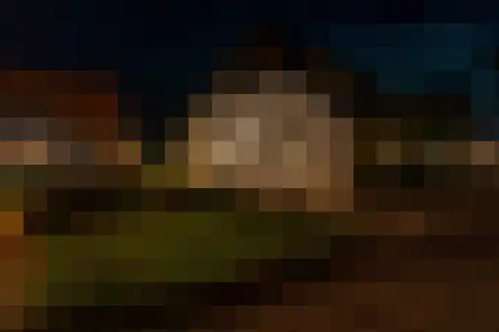 Noordhoeksestraat 4 Driel thumbnail 65
