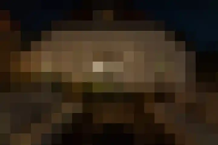 Noordhoeksestraat 4 Driel thumbnail 66
