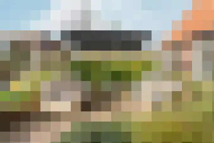 Noordhoeksestraat 4 Driel thumbnail 67