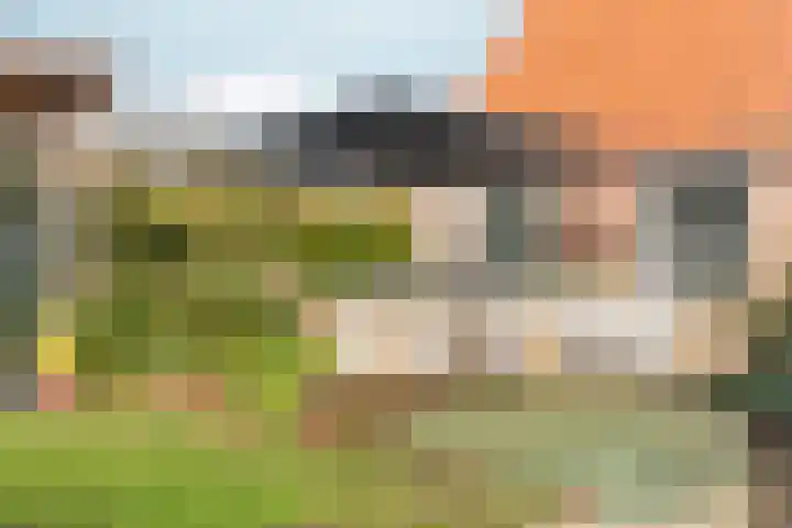 Noordhoeksestraat 4 Driel thumbnail 69