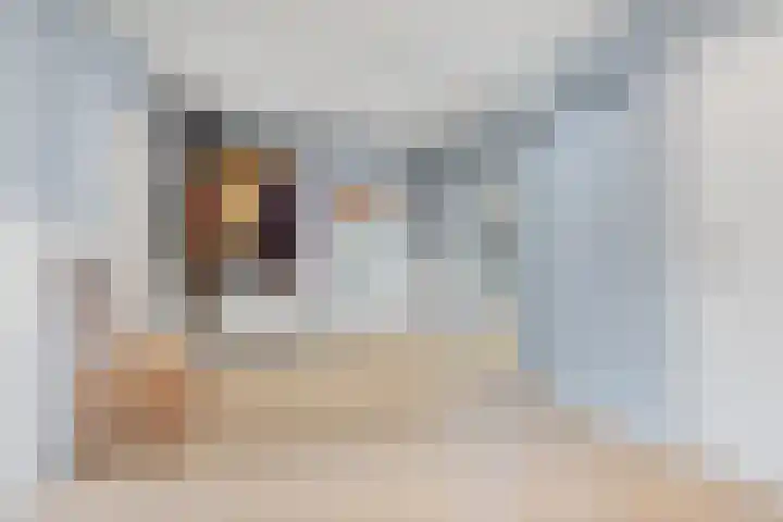 Noordhoeksestraat 4 Driel thumbnail 7