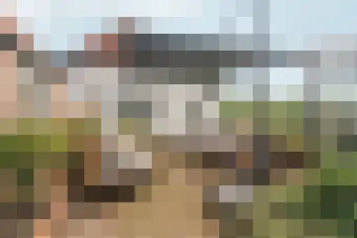 Noordhoeksestraat 4 Driel thumbnail 70