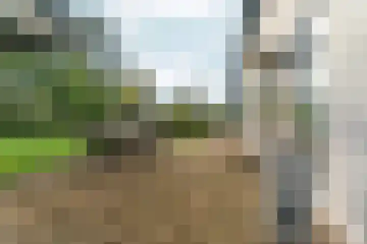 Noordhoeksestraat 4 Driel thumbnail 71