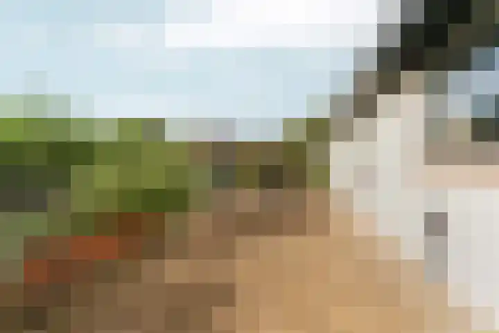 Noordhoeksestraat 4 Driel thumbnail 72