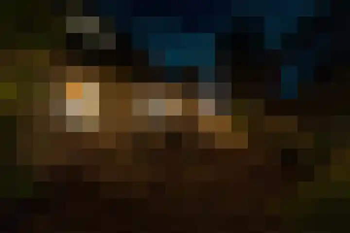 Noordhoeksestraat 4 Driel thumbnail 73