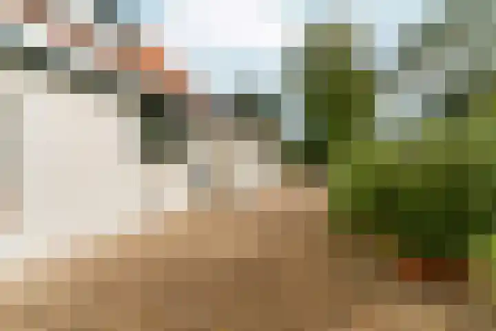 Noordhoeksestraat 4 Driel thumbnail 74