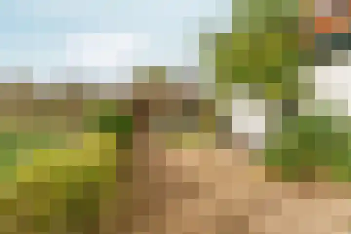 Noordhoeksestraat 4 Driel thumbnail 75