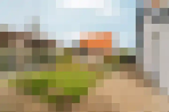 Noordhoeksestraat 4 Driel thumbnail 76