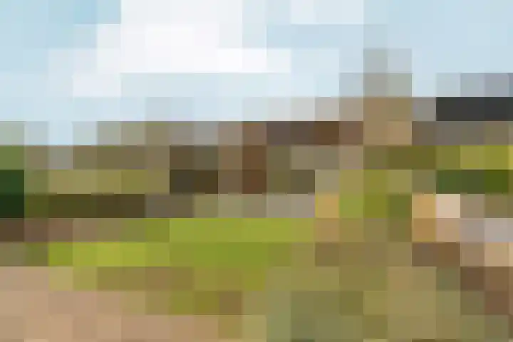 Noordhoeksestraat 4 Driel thumbnail 78