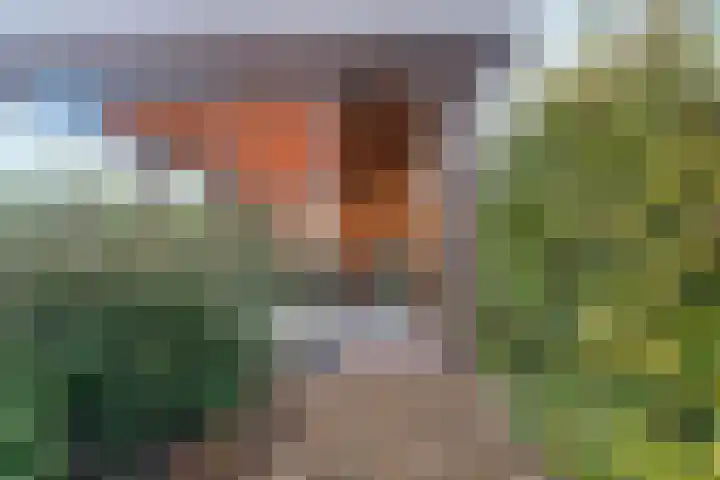 Noordhoeksestraat 4 Driel thumbnail 81