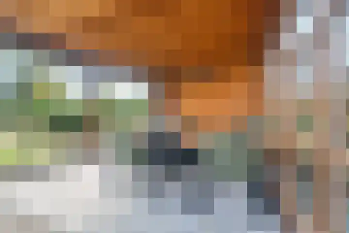 Noordhoeksestraat 4 Driel thumbnail 83