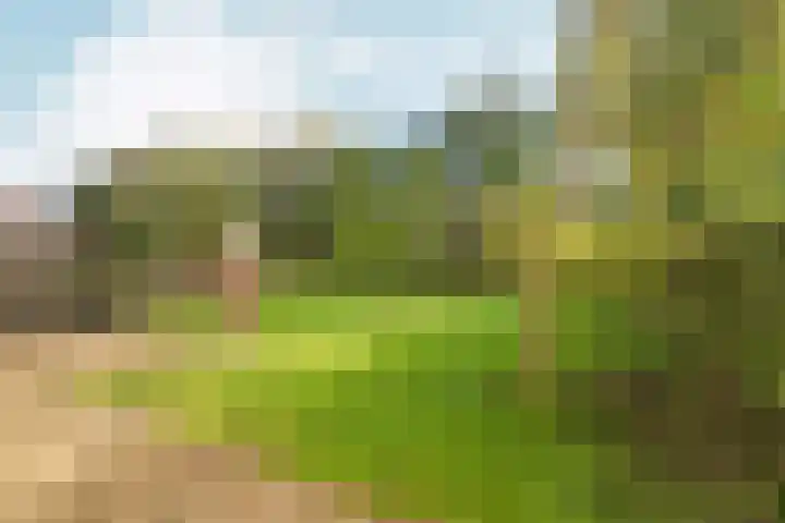 Noordhoeksestraat 4 Driel thumbnail 91