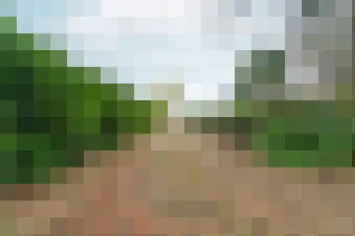 Noordhoeksestraat 4 Driel thumbnail 92