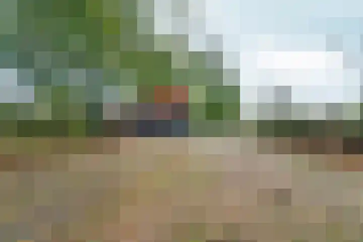Noordhoeksestraat 4 Driel thumbnail 93