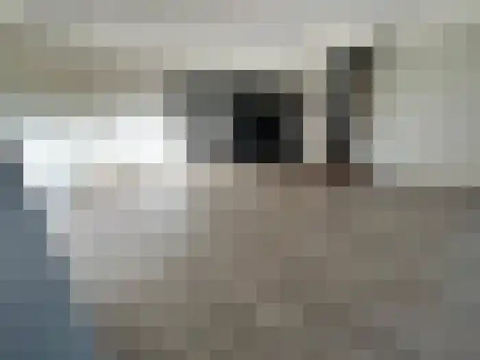 Noordhoekstraat 1 A-1A Schaijk thumbnail 13