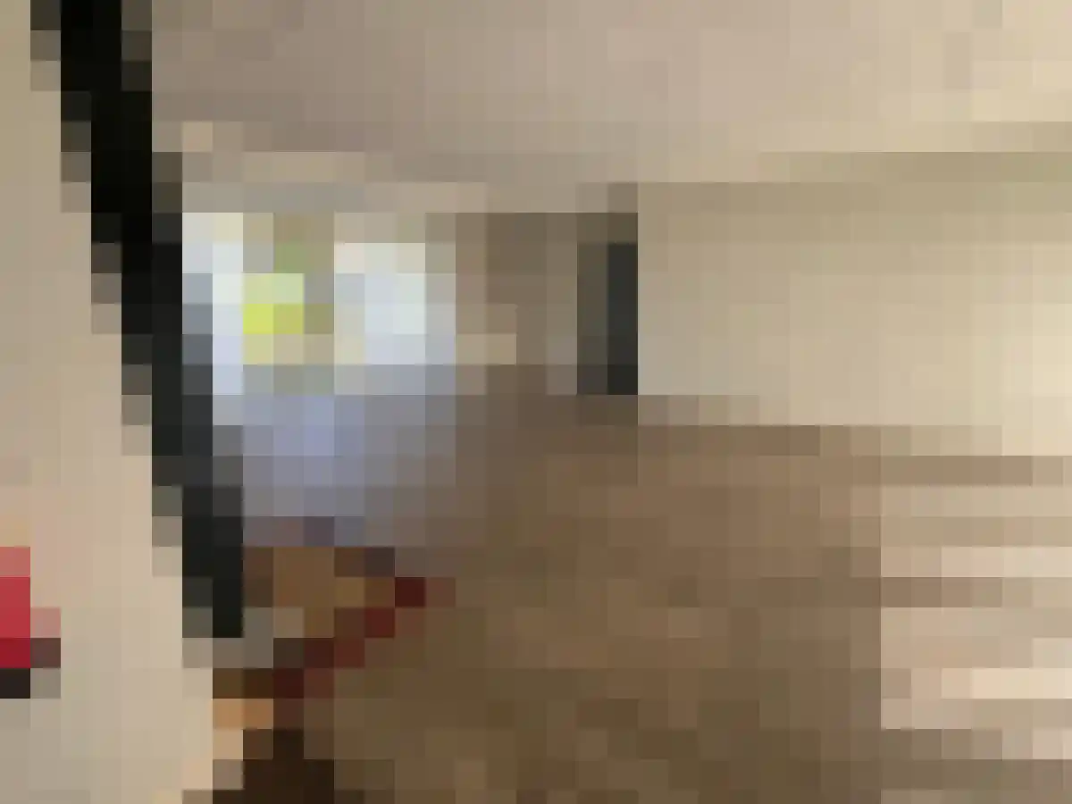 Noordhoekstraat 1 A-1A Schaijk thumbnail 4