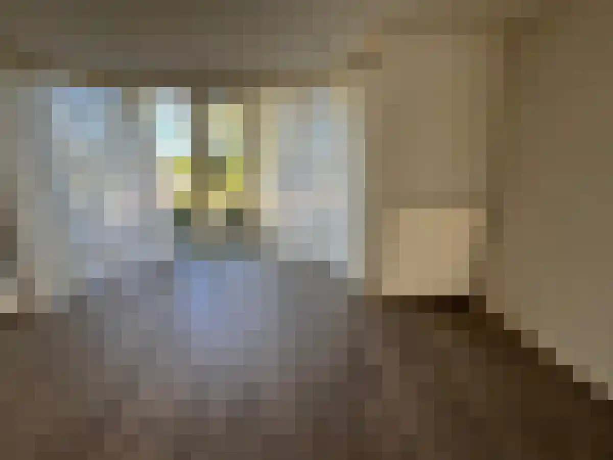 Noordhoekstraat 1 A-1A Schaijk thumbnail 6
