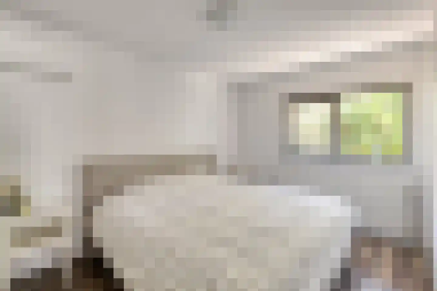 Noordhoekstraat 11 Schaijk thumbnail 13