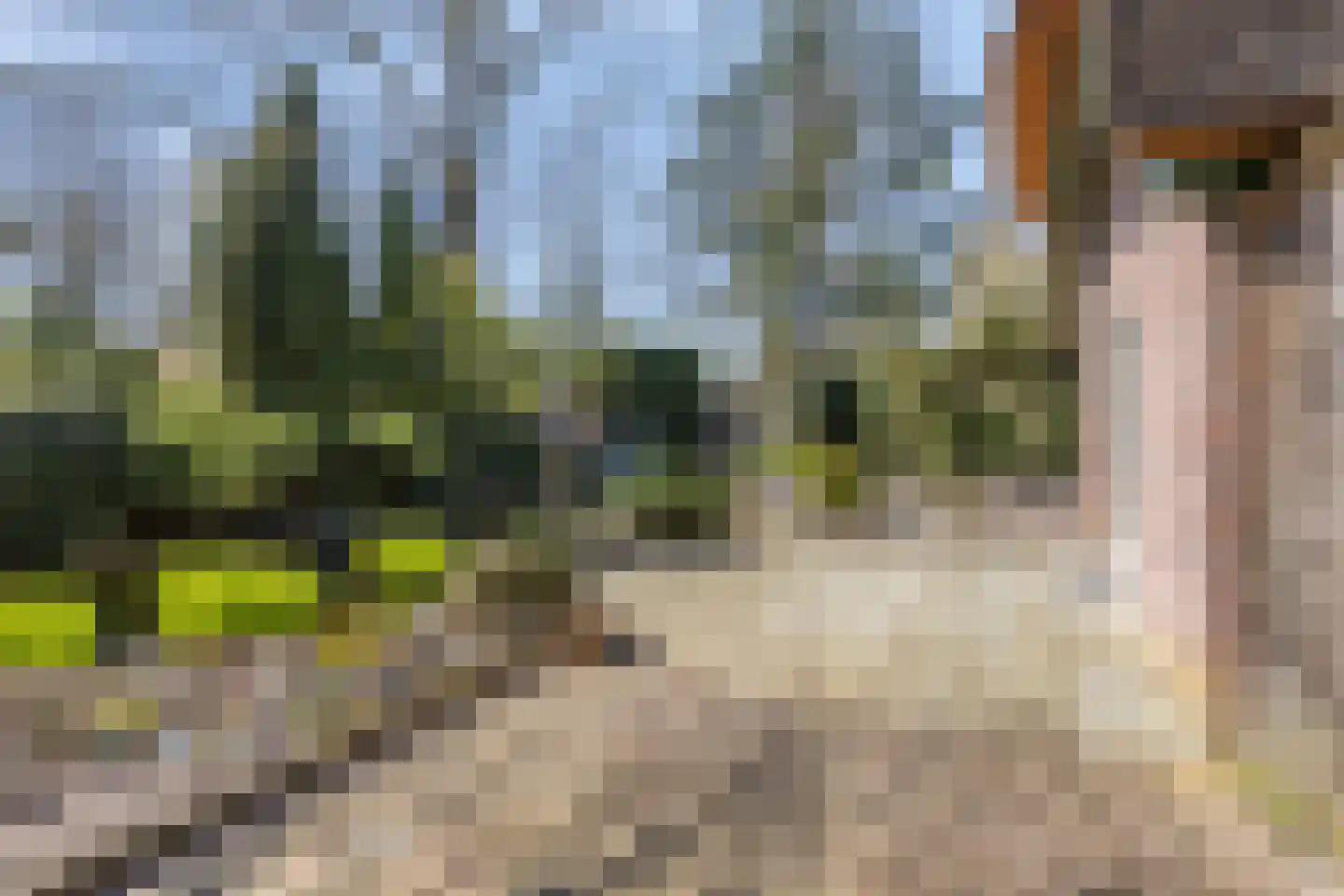 Noordhoekstraat 11 Schaijk thumbnail 18