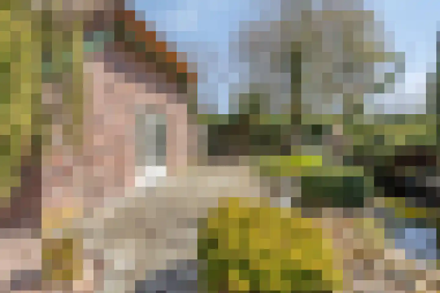 Noordhoekstraat 11 Schaijk thumbnail 19