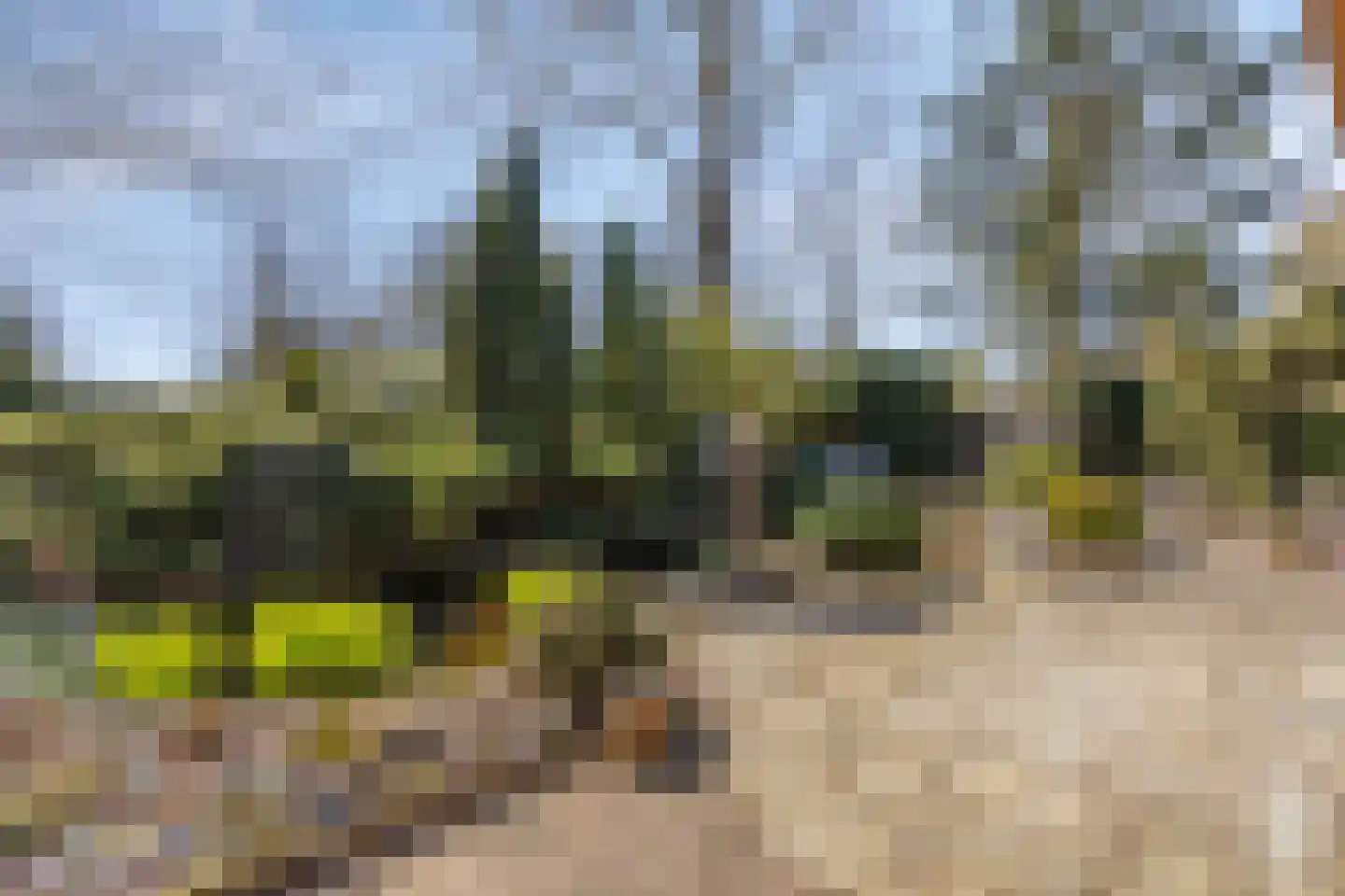 Noordhoekstraat 11 Schaijk thumbnail 20