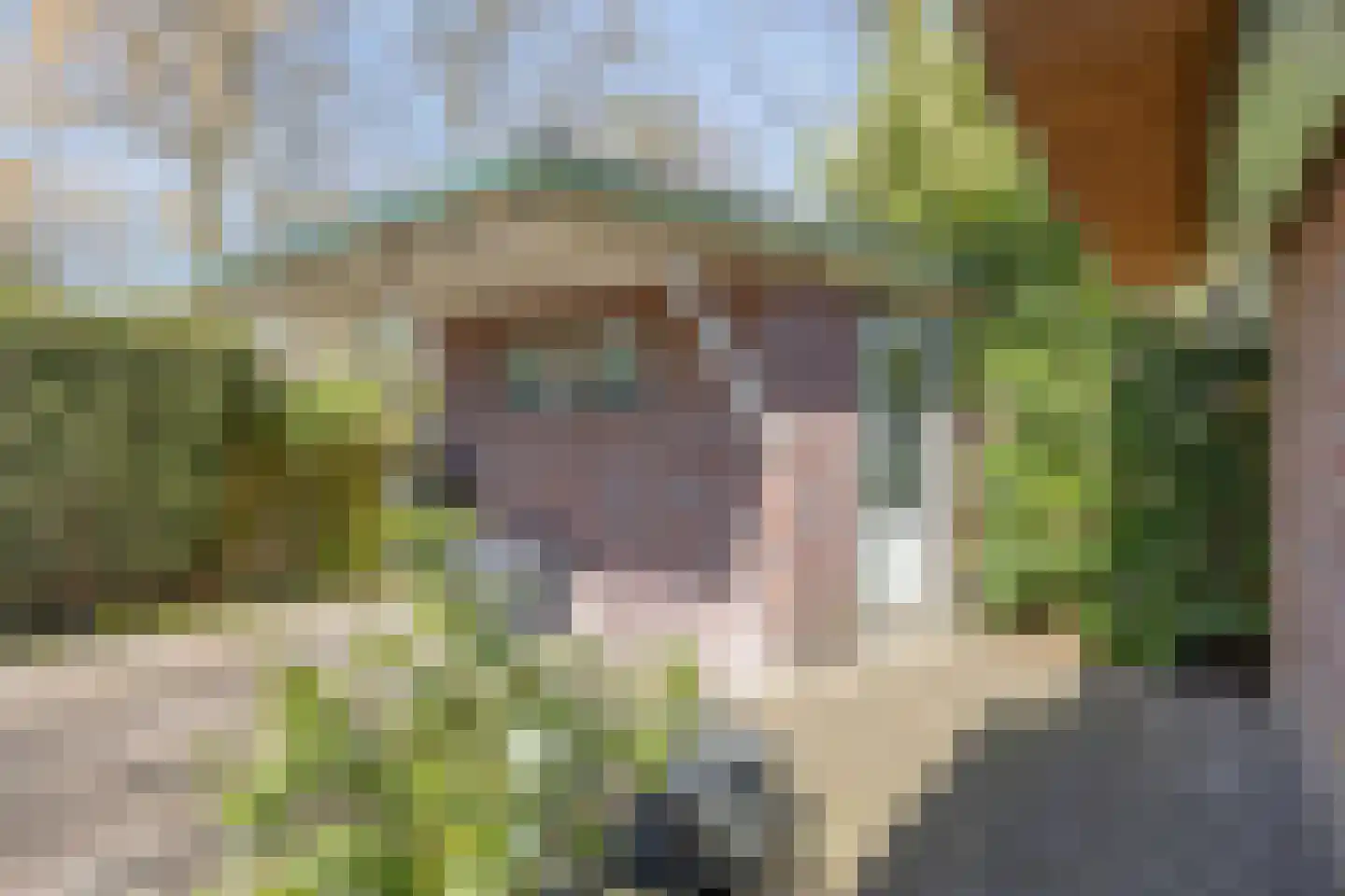 Noordhoekstraat 11 Schaijk thumbnail 22