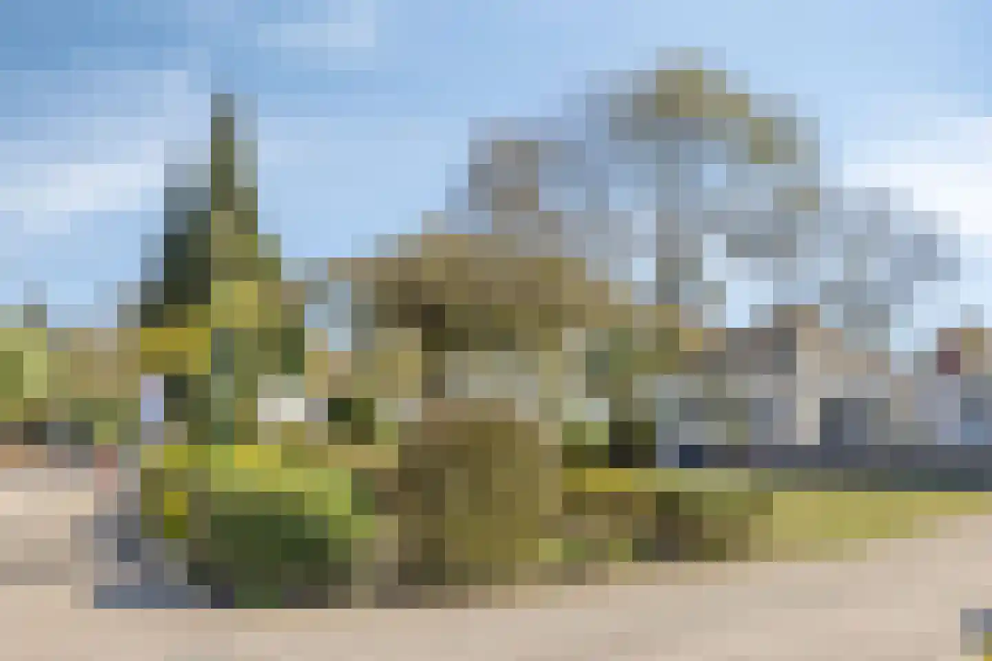 Noordhoekstraat 11 Schaijk thumbnail 26