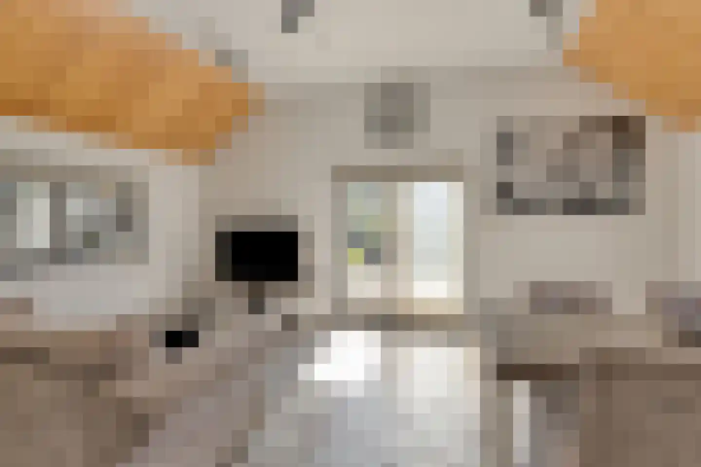 Noordhoekstraat 11 Schaijk thumbnail 5