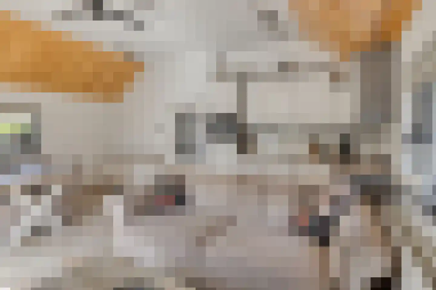 Noordhoekstraat 11 Schaijk thumbnail 7