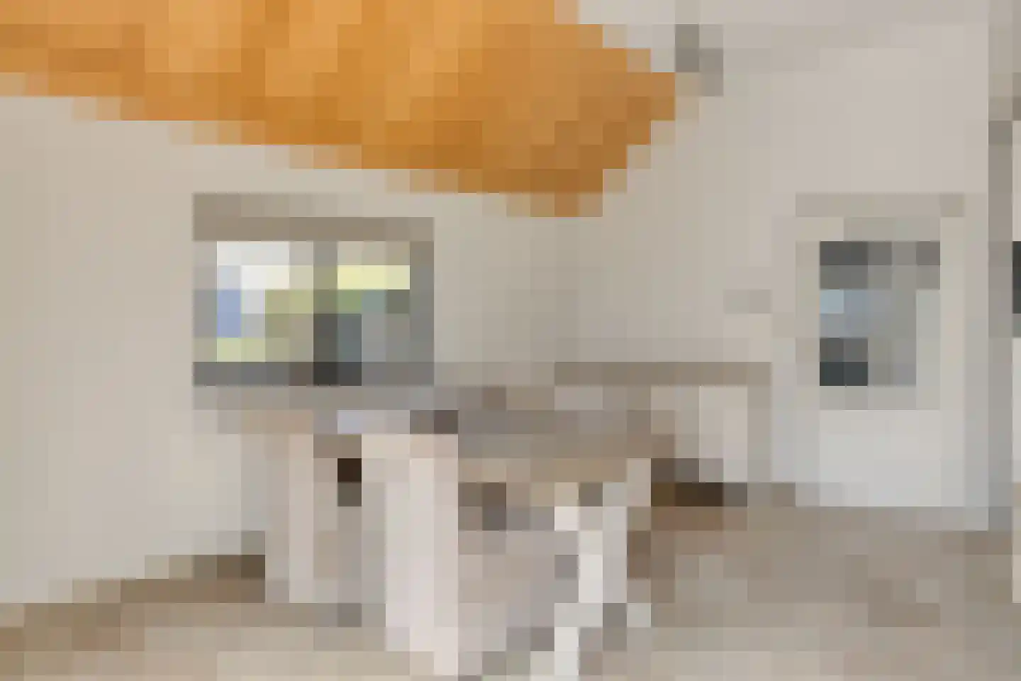 Noordhoekstraat 11 Schaijk thumbnail 8