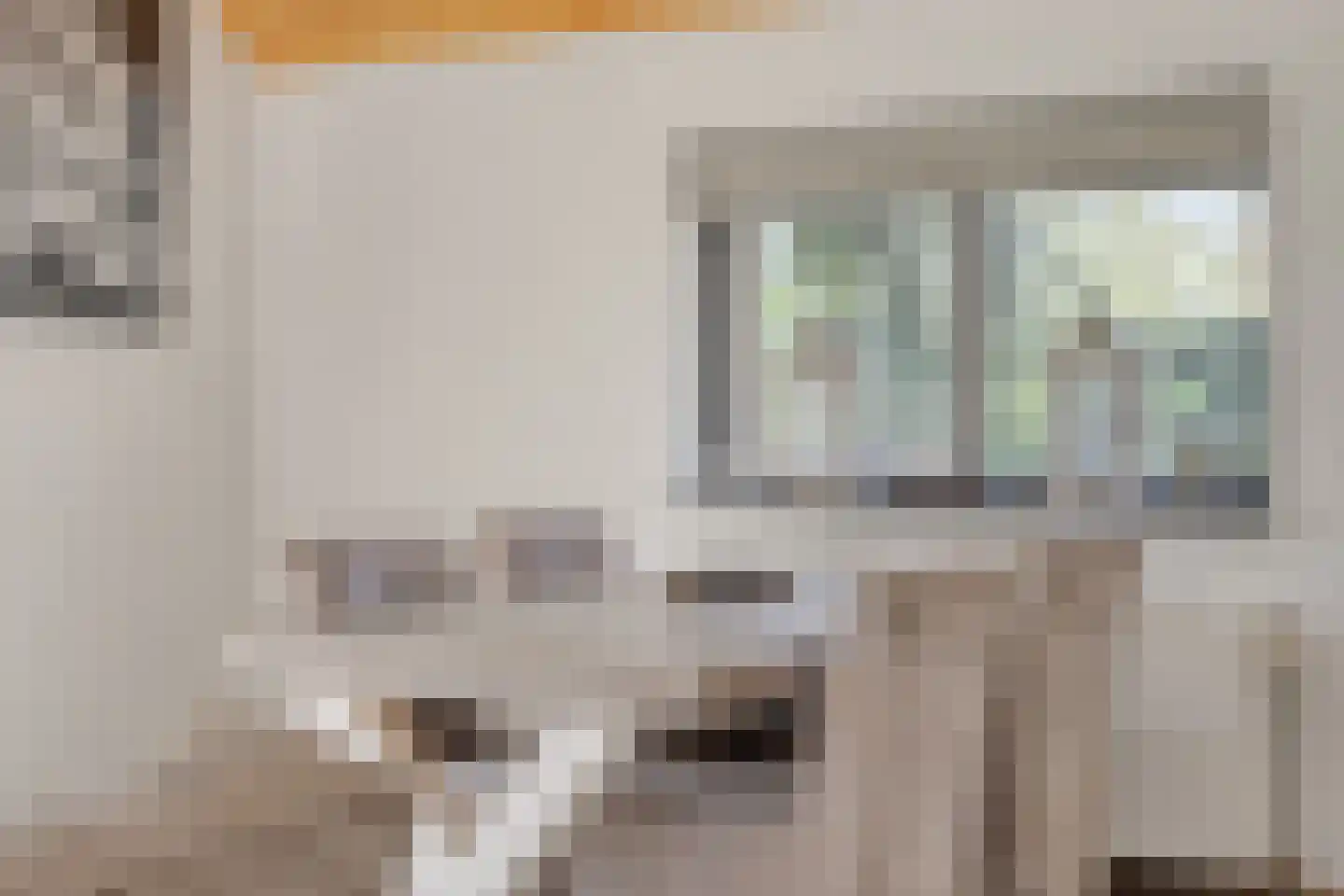 Noordhoekstraat 11 Schaijk thumbnail 9
