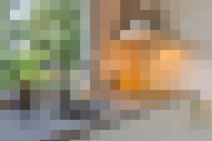 Noordhoekstraat 27 Schaijk thumbnail 10