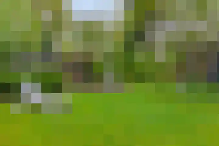 Noordhoekstraat 27 Schaijk thumbnail 19