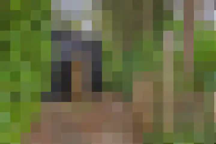Noordhoekstraat 27 Schaijk thumbnail 20