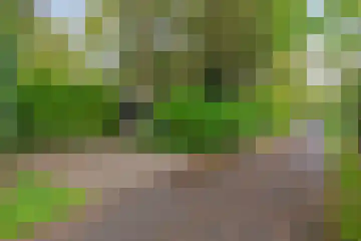 Noordhoekstraat 27 Schaijk thumbnail 21
