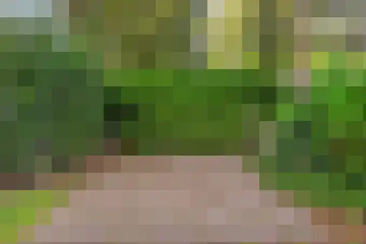 Noordhoekstraat 27 Schaijk thumbnail 22