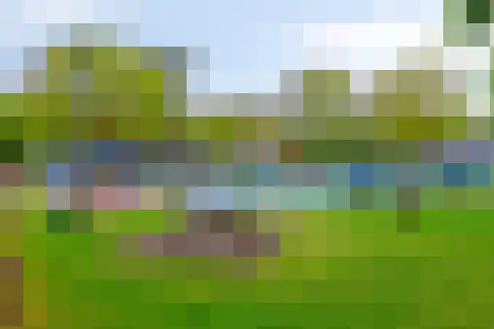 Noordhoekstraat 27 Schaijk thumbnail 23