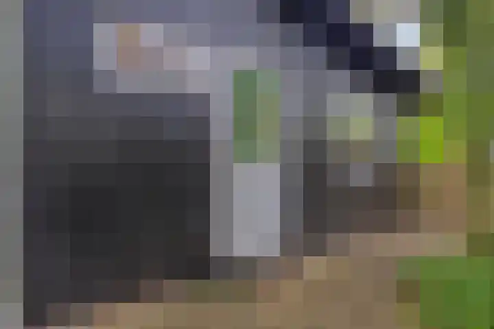 Noordhoekstraat 27 Schaijk thumbnail 4