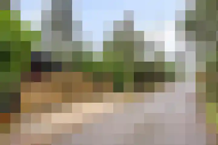 Noordhoekstraat 45 Schaijk thumbnail 11