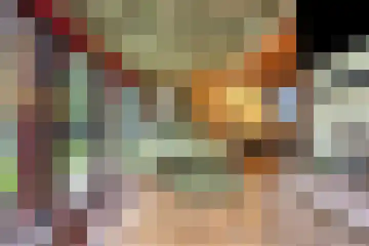 Noordhoekstraat 45 Schaijk thumbnail 23