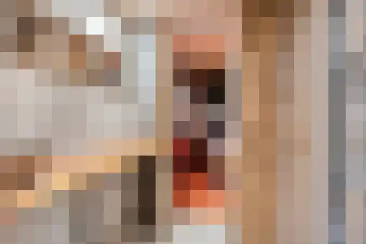 Noordhoekstraat 45 Schaijk thumbnail 31