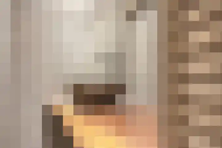 Noordhoekstraat 45 Schaijk thumbnail 33