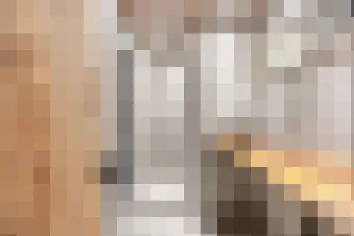 Noordhoekstraat 45 Schaijk thumbnail 34