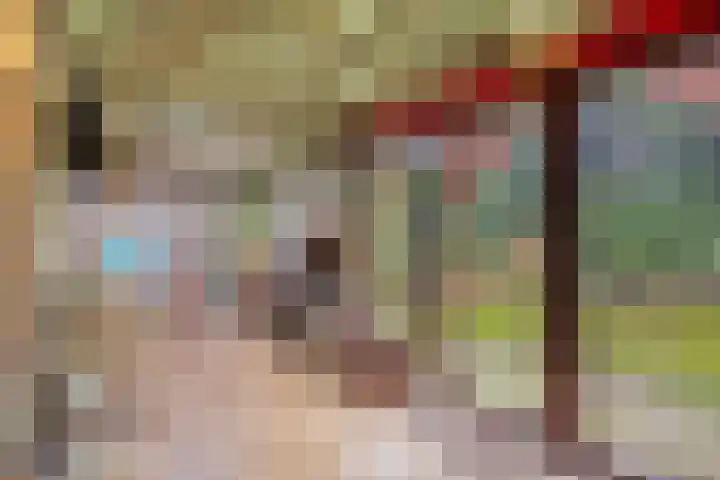 Noordhoekstraat 45 Schaijk thumbnail 4