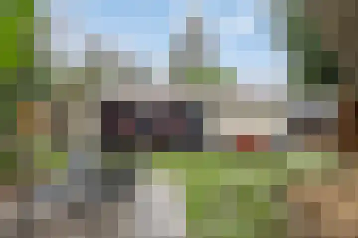 Noordhoekstraat 45 Schaijk thumbnail 41