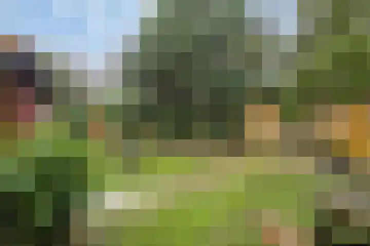Noordhoekstraat 45 Schaijk thumbnail 45