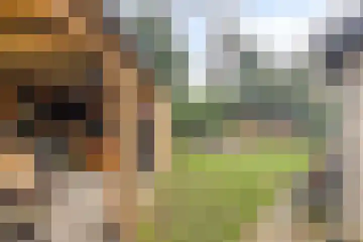 Noordhoekstraat 45 Schaijk thumbnail 46