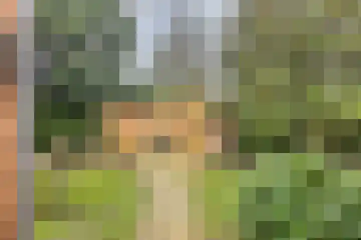 Noordhoekstraat 45 Schaijk thumbnail 49